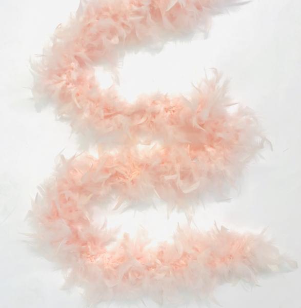 (image for) Deluxe Feather Boa - Light Pink - Click Image to Close